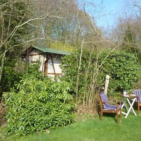Apartament Ehemaliges Waldkurhaus Drangstedt Zewnętrze zdjęcie